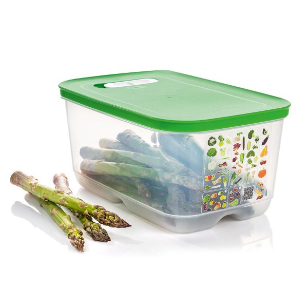 Tupper Ware Tupperware® FridgeSmart® Medium Deep | Produce Storage Container With Lid