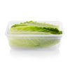 Pyrex Snapware® Total Solution® 8.5-cup Plastic Food Storage Container with Lid