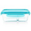Pyrex Pyrex® MealBox 4-cup Divided Glass Food Storage Container with Turquoise Lid