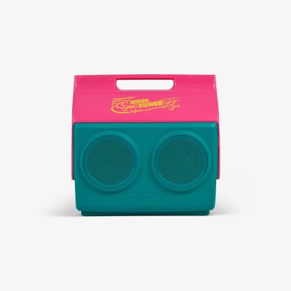 Igloo KoolTunes®