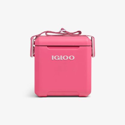 Igloo Tag Along Too Remix Cooler